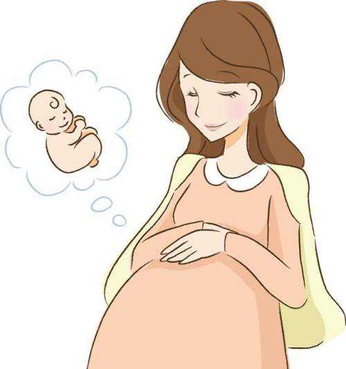 37岁卵试管受孕的概率,卵泡监测是什么